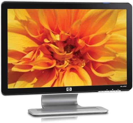 HP W1907 19 inç Geniş Ekran Düz Panel LCD Monitör