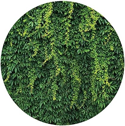 DASHAN Yuvarlak Yeşillik Zemin Yeşil Yapraklar 7.2x7. 2ft Polyester Çim Arka Plan Duvar Doğal Bahar Sence Manzara