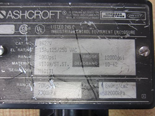 Ashcroft B427V Basınç Şalteri Valfi
