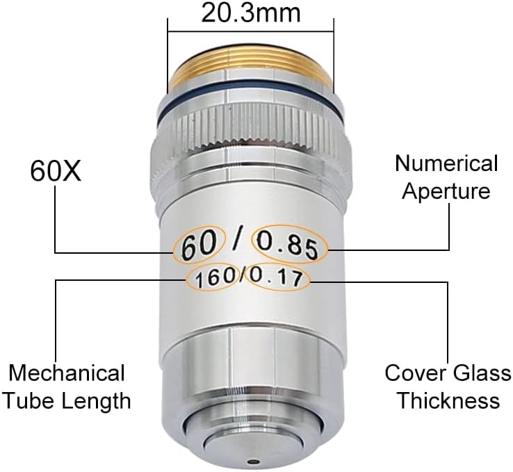 BEEYNG Laboratuvar Mikroskop Aksesuarları renksiz objektif Lens 4X 10X 20X 40X 60X 100X Laboratuvar Biyolojik Mikroskop