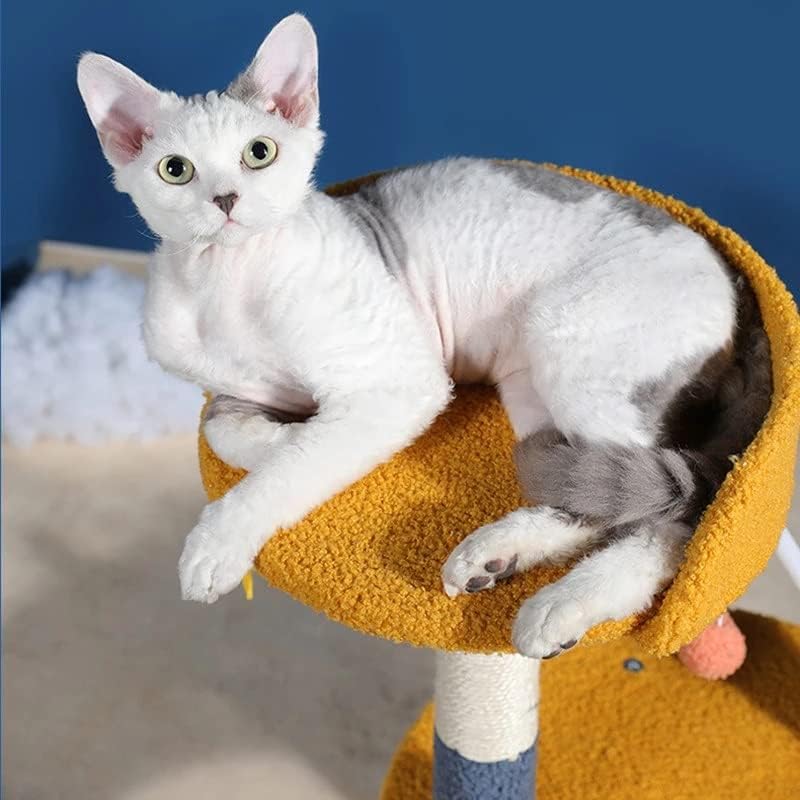 WALNUTA Pet Tırmanma Çerçevesi Çok fonksiyonlu Kedi Tırmanma Rafı Kedi Tırmalama Panosu Komik Kedi Malzemeleri (Renk: