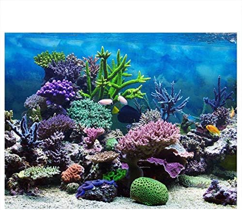 Zerodis Balık Tankı Dekorasyon Posteri, PVC Yapışkanlı Akvaryum Arka Plan Resmi Mercanlar Zemin Dekoratif Kağıt Mercanlar