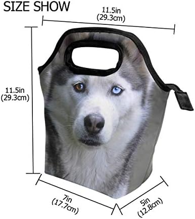 HEOEH Husky Sevimli Köpek Pet Öğle Yemeği soğutucu çanta Tote Çanta Yalıtımlı Fermuar Öğle Yemeği Kutuları Çanta Açık