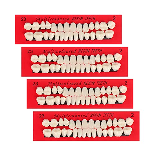 4 Takım Akrilik Reçine Sahte Diş Komple Akrilik Reçine Diş Protez Diş Diş Protez Üst ve Alt Sentetik Reçine Diş Değiştirme