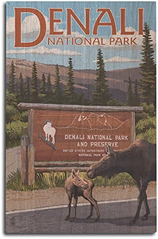 Denali Milli Parkı, Alaska, Park Giriş Huş Ağacı Duvar İşareti (10x15 Rustik Ev Dekor, Asmak için hazır Sanat)