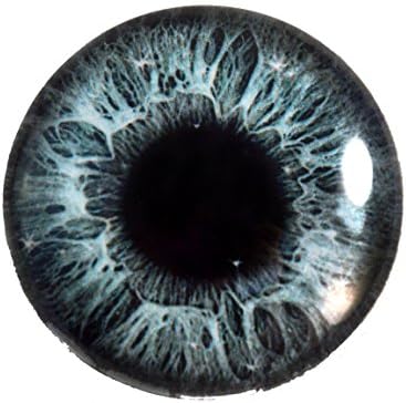 25mm 1 İnç Gri Köpüklü Cam Göz Fantezi Göz Küresi Tahnitçilik Heykeller veya Takı Yapımı Kolye El Sanatları 1 İnç