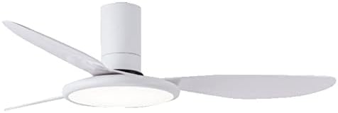 DSJ ışık akrilik fan ışık Led trikromatik karartma tavan vantilatörü lamba akrilik uzaktan kumanda Fanı avize Villa