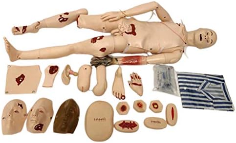 GHDE ve 170CM Hemşirelik Mankeni Çok Fonksiyonlu Hasta Bakım Simülatörü-İlk Yardım Travma İnsan Anatomik Modeli için